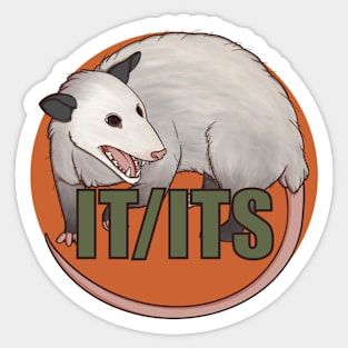 Pronoun opossum It/Its Sticker